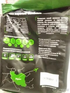 Зеленая линия грибы