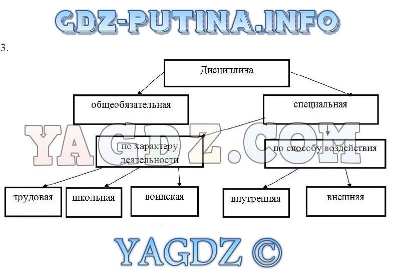 Заполните схему и объясните различия. Дисциплина схема. Схема дисциплина Обществознание 7 класс. Дисциплина схема по обществознанию. Схема виды дисциплины.