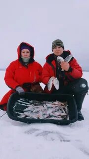 Фишинг псков