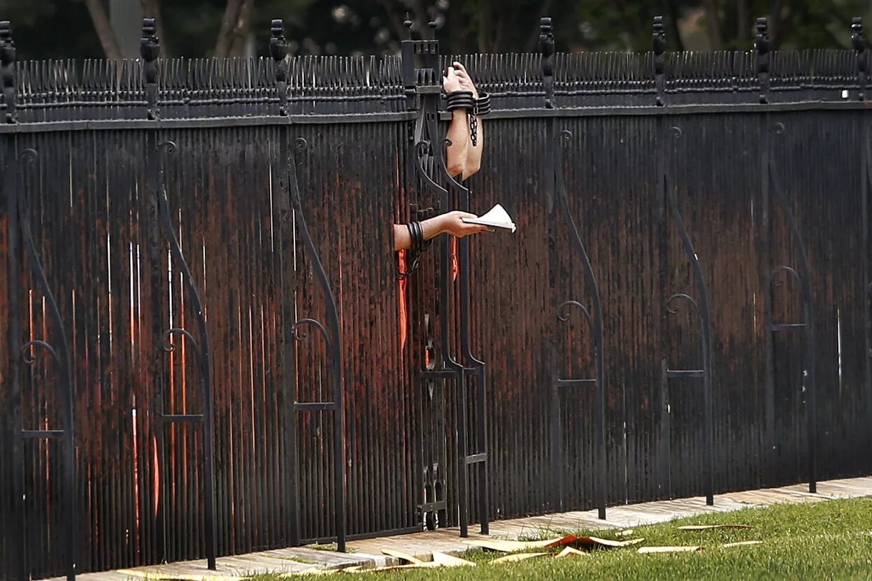 Через забор. Смешной забор. Высокий забор. Человек у забора. Высокий забор на даче.