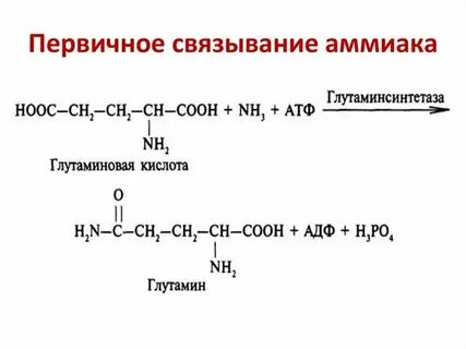 Нейтрализатор аммиака