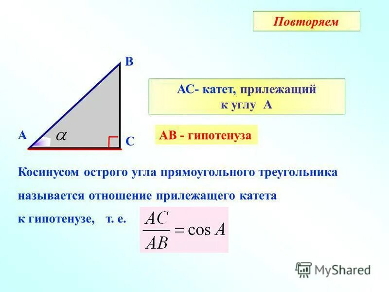 Как найти катет треугольника через угол. Синус косинус тангенс прилежащий. синус косинус прилежащий противолежащий. прилежащий катет к гипотенузе это синус или. гипотенуза через синус и косинус.