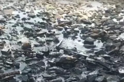 На берег дона на твой заплаканный