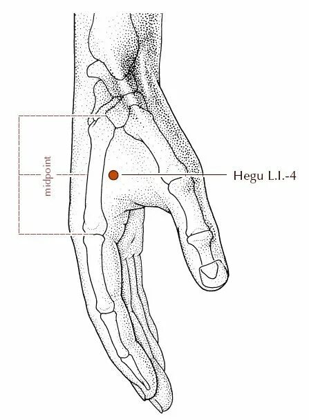 7 Pressure Points for Nausea Pressure points for nausea, Nausea relief, How to r