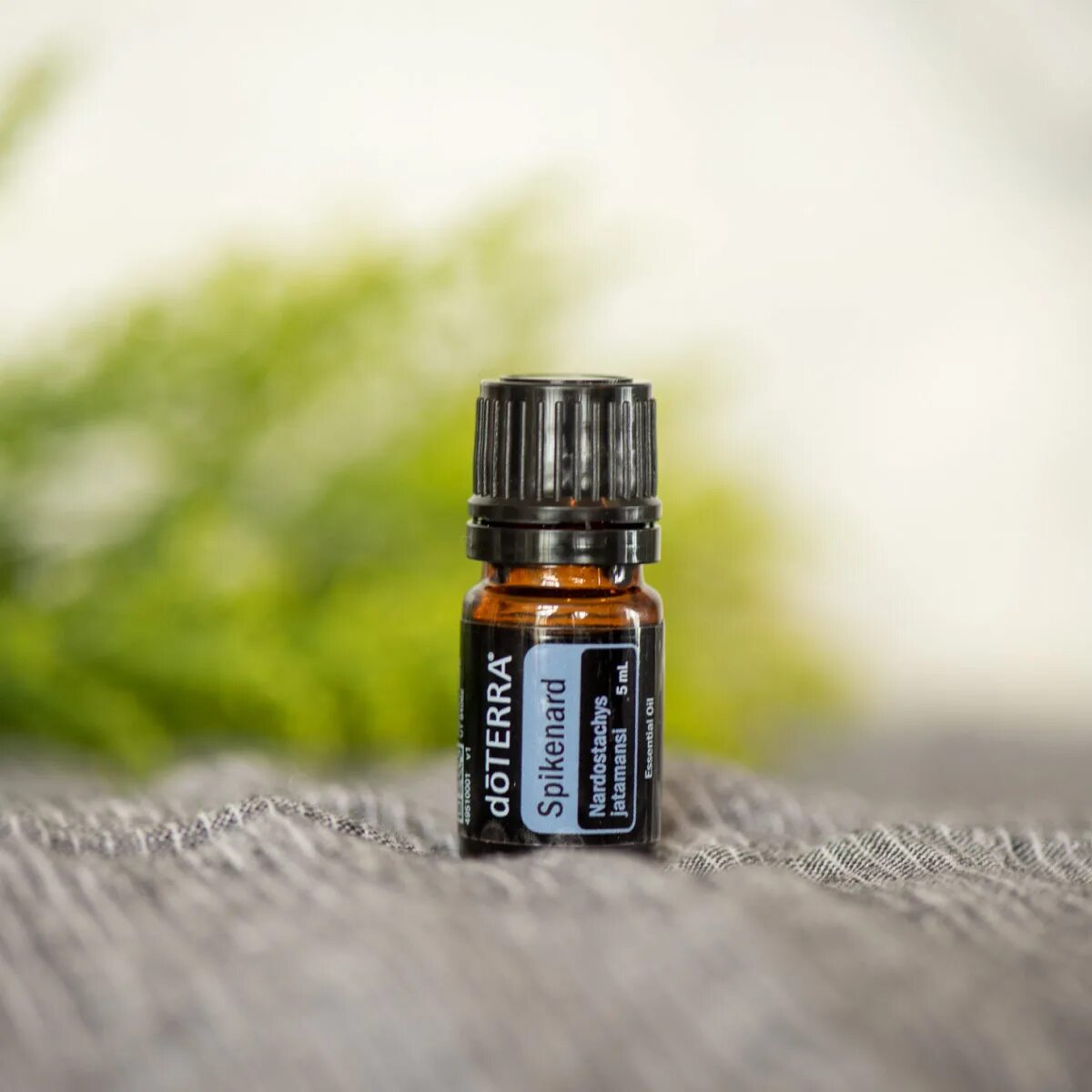 Нард масло. Spikenard DOTERRA. Масло нарда ДОТЕРРА. Нард DOTERRA. Нард эфирное масло.