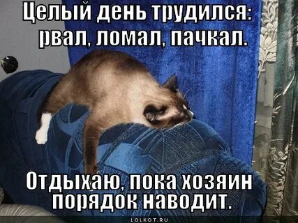 Отдыхаю пока