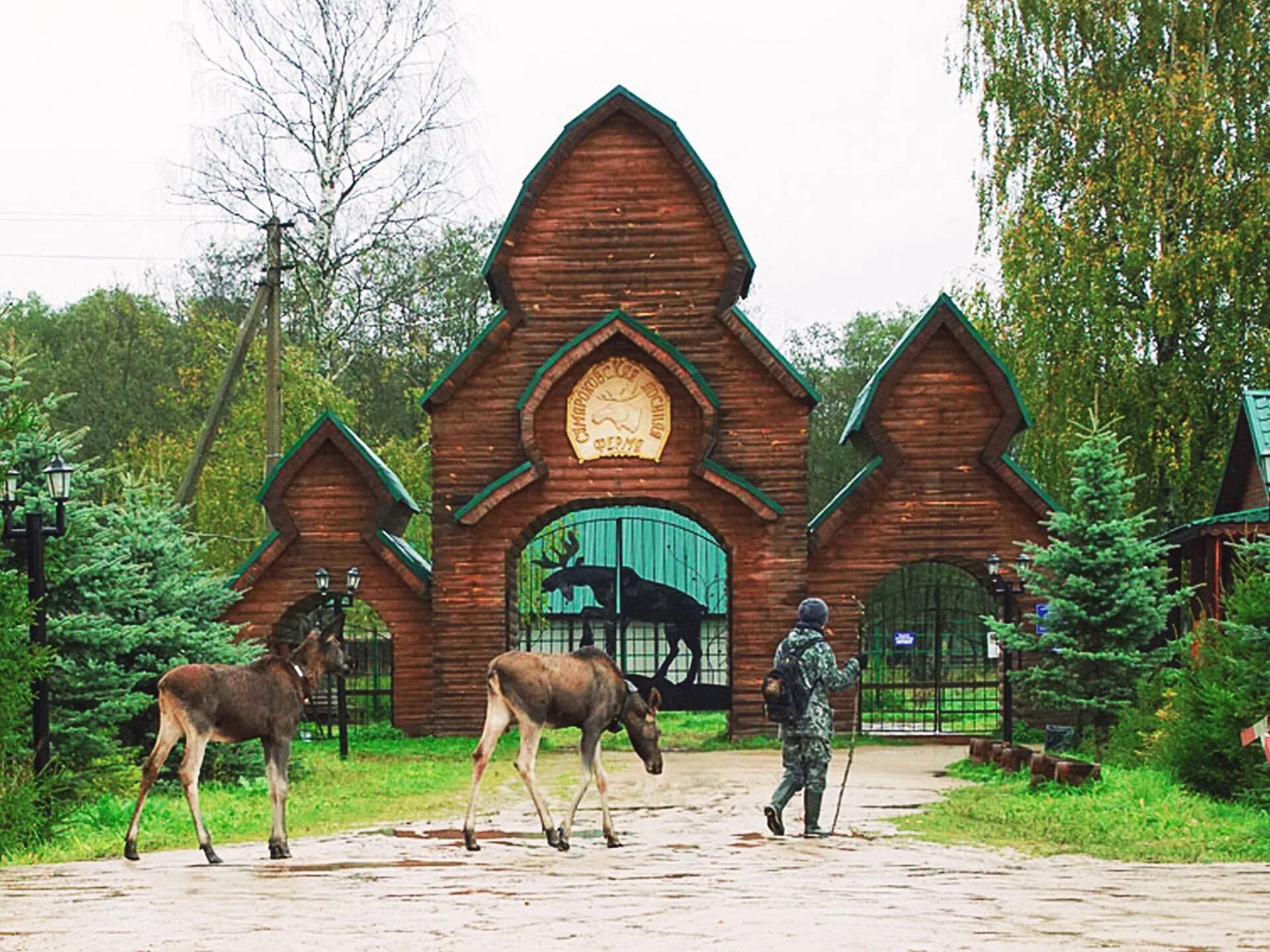 Сумароковская лосиная. Лосеферма Сумароково Кострома. Сумароковская ферма Кострома. Лосиная ферма Сумароково Кострома. Сумароковская лосиная ферма в Костромской.