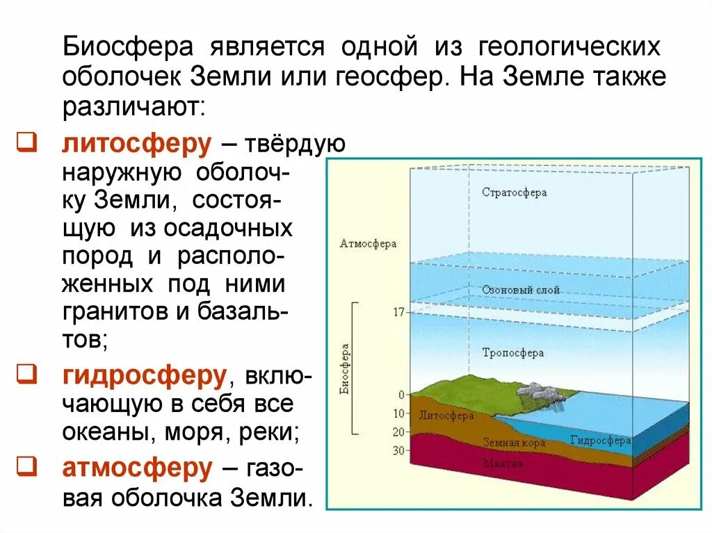 Твердая земная оболочка земли называется