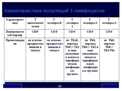 Популяция т