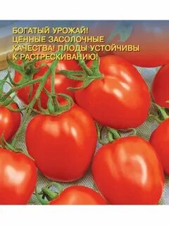 Томат уральский