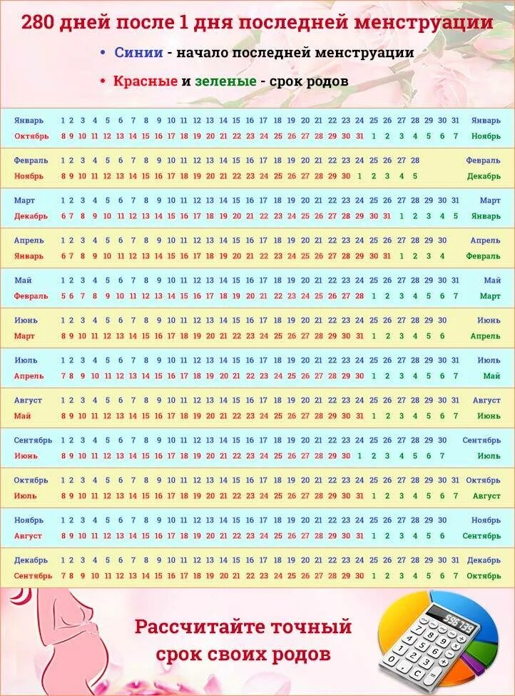 Календарь беременности. Алендарь беременности. Календарь беременности по неделям. КАРИНДАР беременность. Бесплатные календарь зачатия
