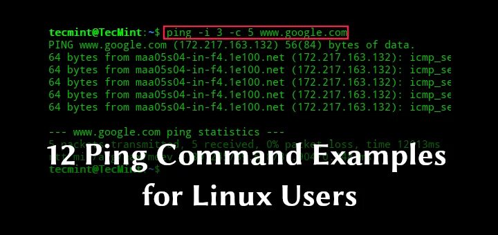 Команда Ping в Linux. Команда пинг в линукс. Команда Nethogs Linux. Ping cmd пример.