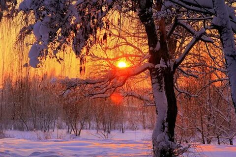 Февральский день