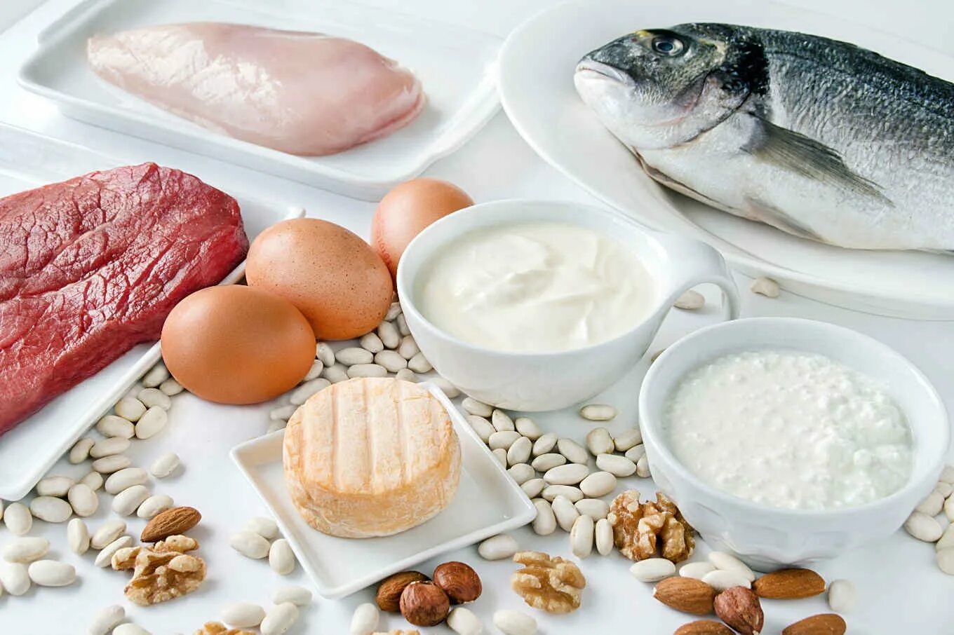 Белковые продукты. Белки продукты. Жиры в еде. Источники жиров. Молочные и мясные продукты.
