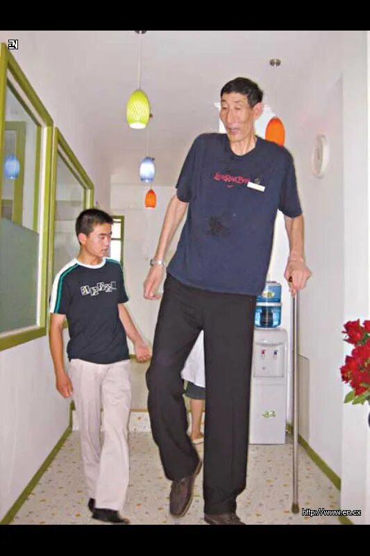 Бао Сишунь рост. Самый высокий человек в мире рост 2021. Самый высокий человек в мире рост 2022. Самый высокий человек в мире Бао Ксишун.