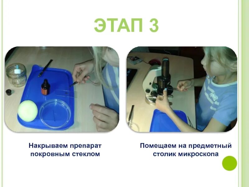 Для чего нужны предметные и покровные стекла