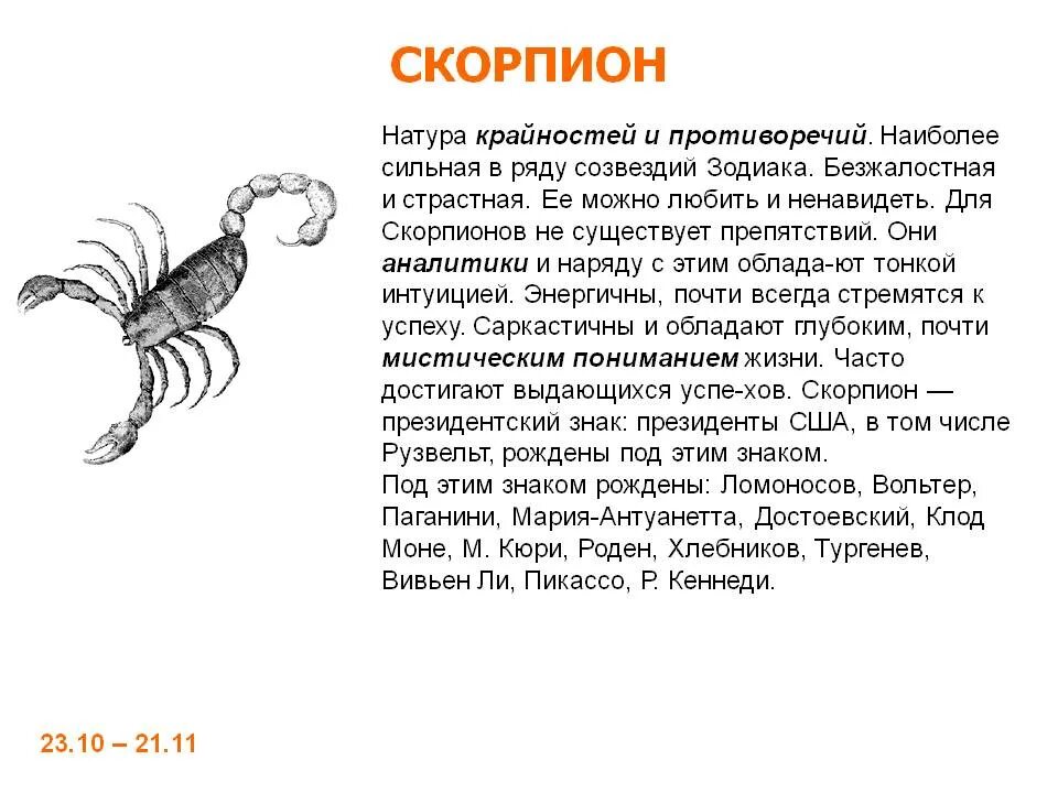Скорпион почему тянет. Скорпион характеристика знака.