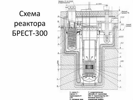Брест 300