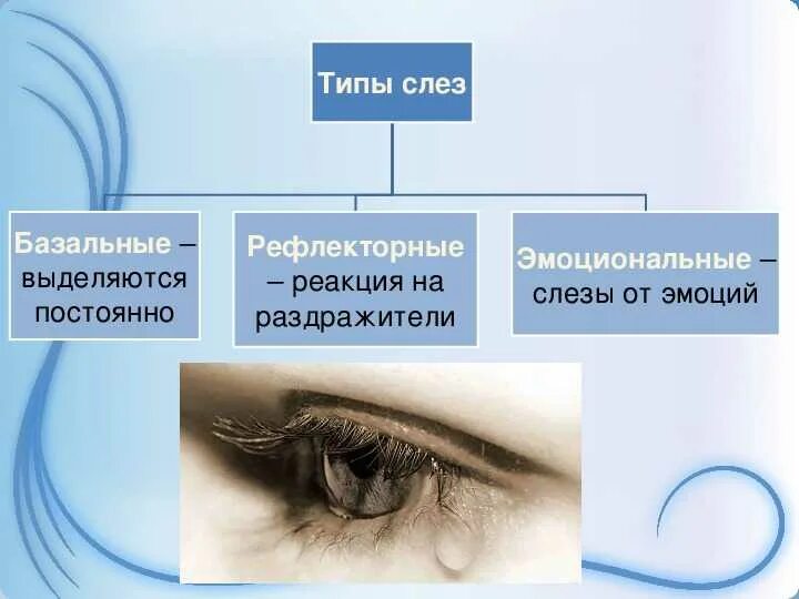 Почему постоянно слезы. Типы слез человека. Причины слез. Виды слёз. Почему человек плачет проект.