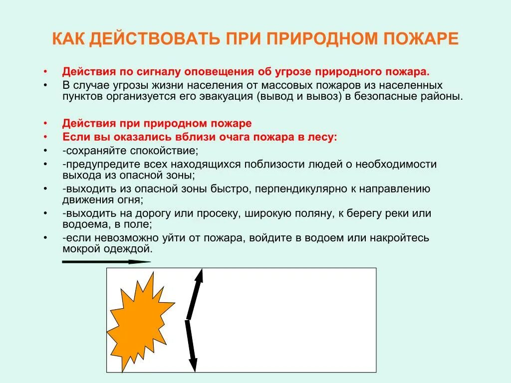 Алгоритм действий природного характера. Алгоритм действий при природном пожаре. Действия населения при возникновении природных пожаров. Действия при Лесном пожаре. Действия населения при лесных пожарах.