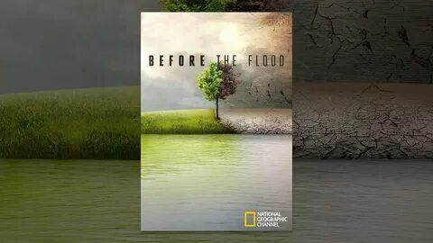 The flood