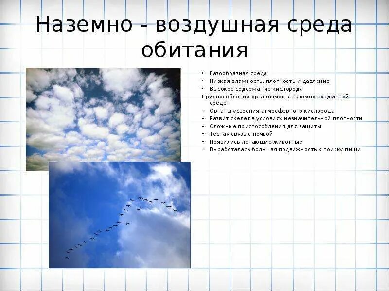 Свойства наземно воздушной среды обитания 5. Воздушная среда. Воздушная среда обитания. Среда обитания воздух. Наземно-воздушная среда воздух.