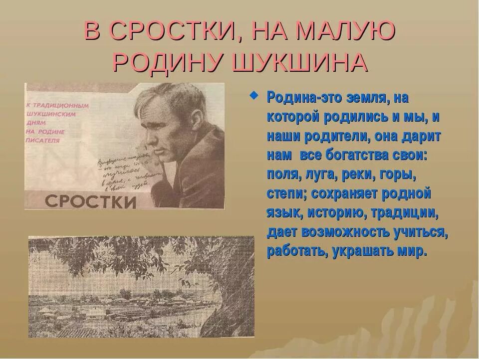 Текст шукшина родине. Васлий Шукшин "малая Родина". Малая Родина в произведениях русских писателей. Малая Родина Шукшина. Шукшин о родине.