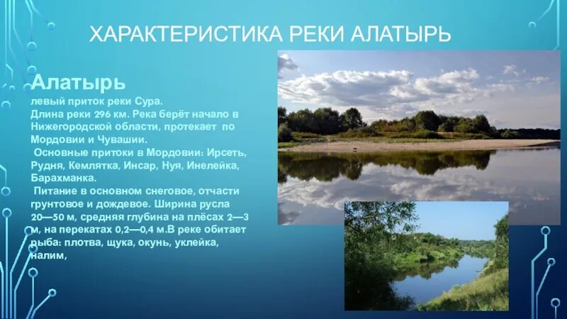 Уровень суры алатырь. Река Сура Алатырь. Река Алатырь в Мордовии. Река Сура в Мордовии. Река Алатырь в Нижегородской области.