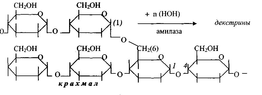 Расщепление крахмала амилазой реакция. Крахмал и Альфа амилаза реакция. Альфа амилаза реакция. Альфа амилаза формула. Крахмал расщепляется ферментом