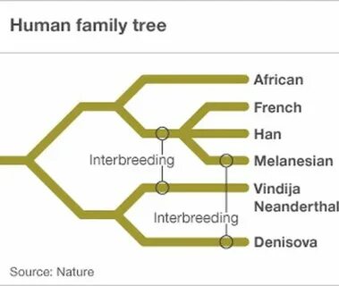 Human source