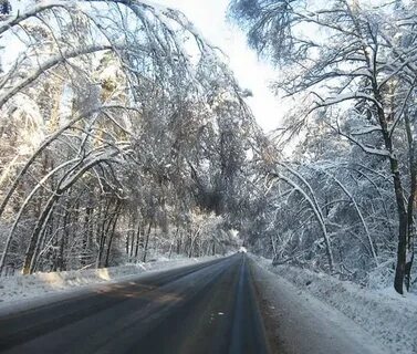Дорога лыткарино