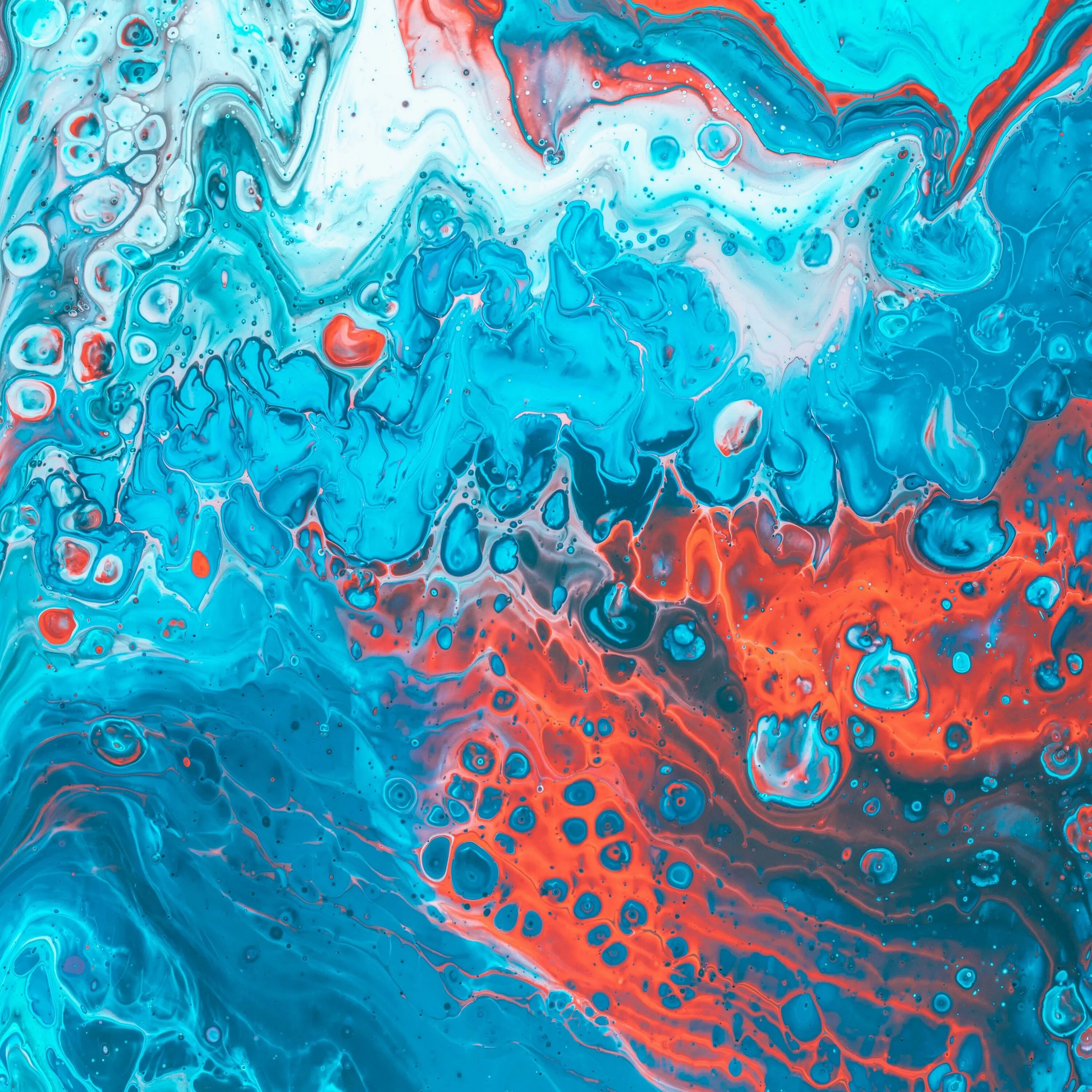 Fluids liquids. Fluids liquids