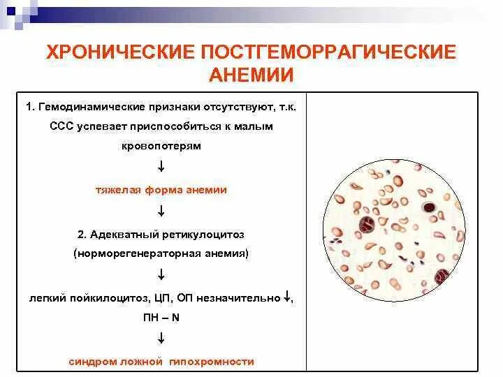 Причины постгеморрагической анемии. Хроническая постгеморрагическая анемия картина крови. Постгеморрагическая анемия клинические проявления. Острая постгеморрагическая анемия мазок крови. Острая постгеморрагическая анемия картина крови таблица.