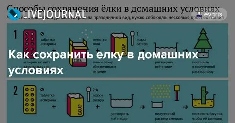 Как сделать чтобы елка долго стояла дома