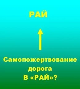 Они дорога в рай