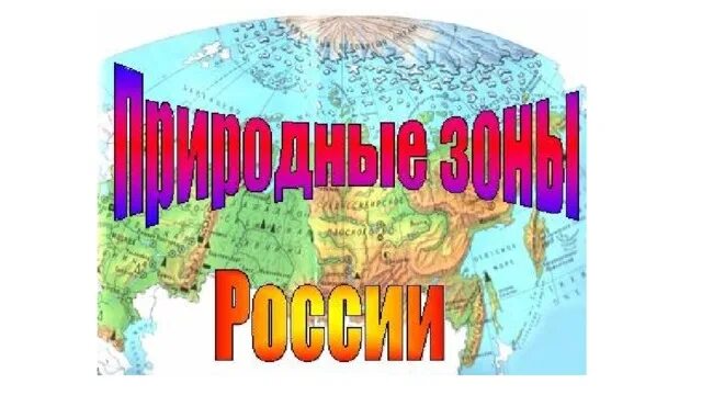 Проект по географии тайга