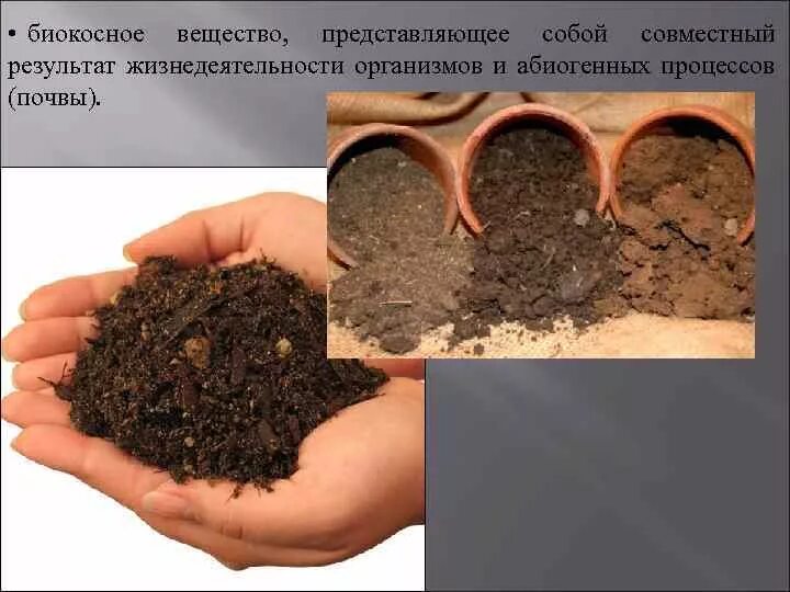 Примерами биокосного вещества являются. Сапропель биокосное вещество. Юилеосное вещество. Почва биокосное вещество. Почва это косное вещество.