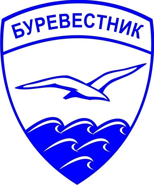 Хоккейная команда буревестник. Речевки для отряда буревестник. Лагерь буревестник омск. Отряд буревестник. Буревестникообразные представители.