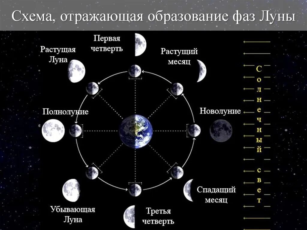 Выберите верные утверждения синодический лунный месяц. Выберите верные утверждения синодический лунный месяц