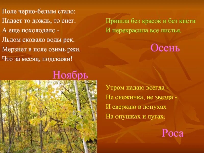 Пришла без красок и без листьев. Осенние загадки. Загадки про осень. Загадки про осень для детей 4 класса. Загадки про осенние месяцы.