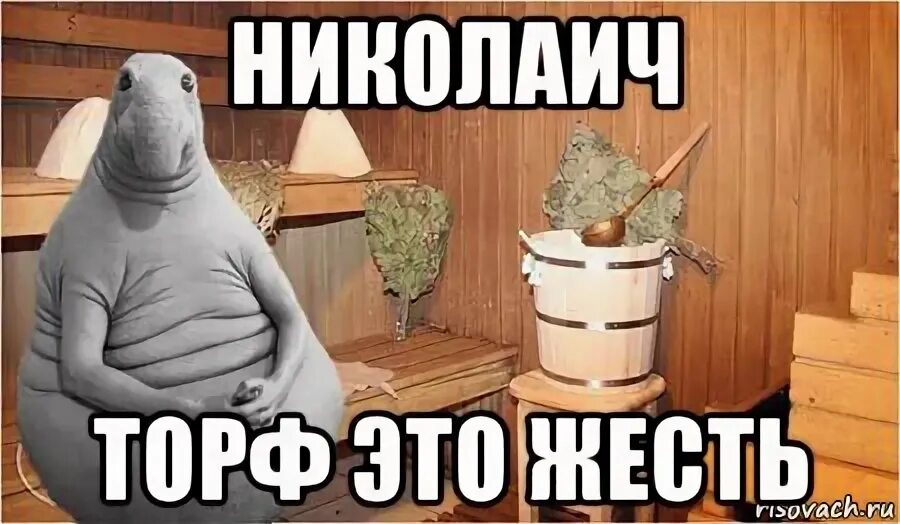 Мем жесть. Банька парилка мем. ждун в бане. мемы жесть. николаич мем.