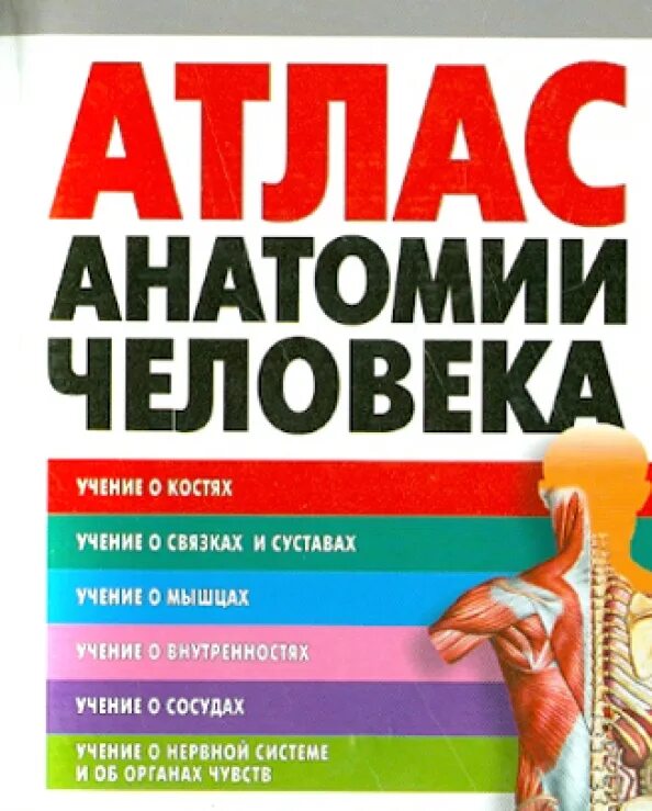 Па солт атлас читать. Большой атлас анатомии человека воробьева. книга атлас анатомии человека воробьев. атлас анатомии человека воробьев 1995. атлас анатомии человека воробьев в п.