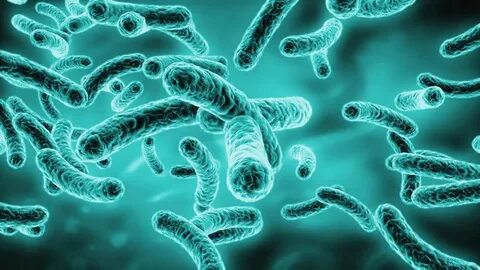 Эротикалық жалаңаш фотосуреттер