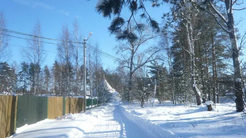Погода в васкелово ленинградской на 14 дней. Васкелово зимой. СНТ красная нить. 54 Км Васкелово. Снег в Васкелово.