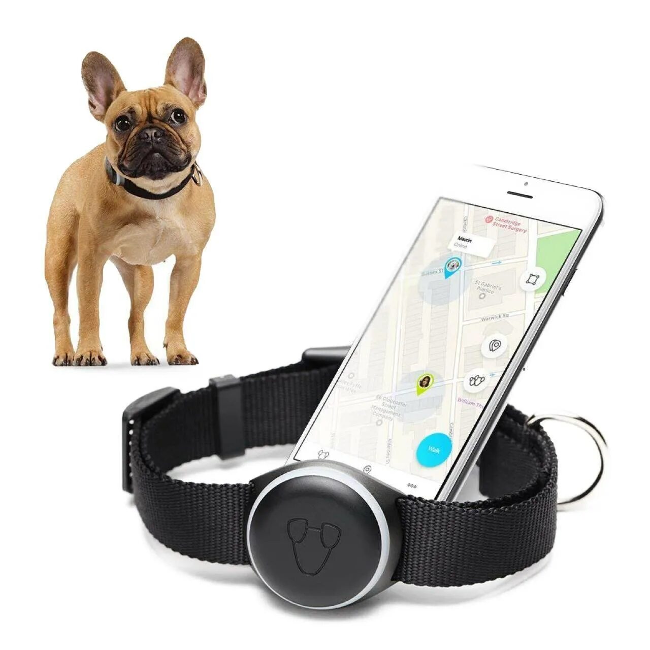 Kineto pet. Трекер Pet GPS Tracker. GPS ошейник "Dog x30t". Трекер Pet GPS Tracker для питомцев. Джипиэс трекер на ошейник для собаки.