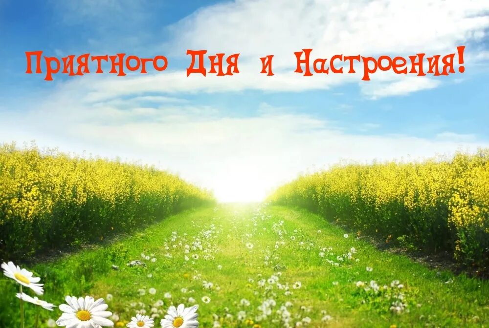Удачный день 16