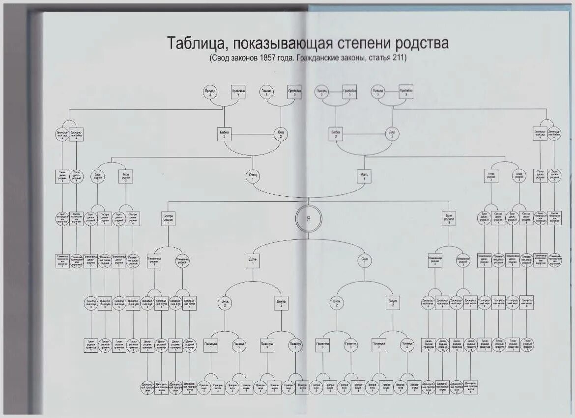 Родственные связи россия. Четвертая степень родства. Схема прямого и бокового родства. Степени родства схема. Таблица родственных связей.