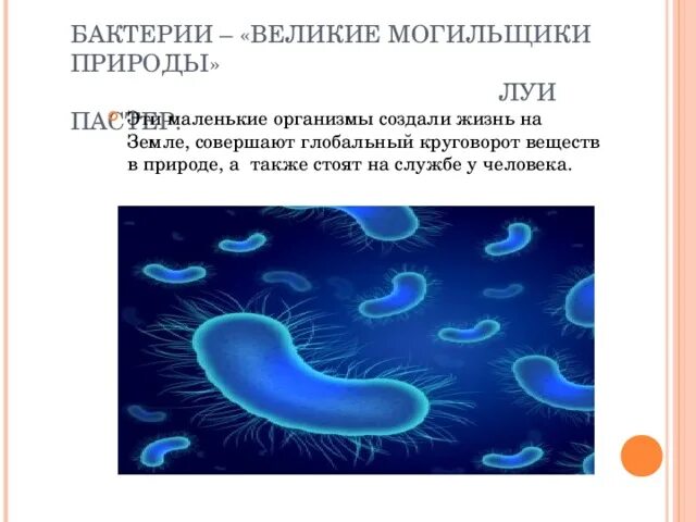 Верное утверждение о бактериях. Бактерии Великие могильщики природы. Бактерии на службе человека. Микроорганизмы на службе у человека. Микроорганизмы на службе у человека примеры.