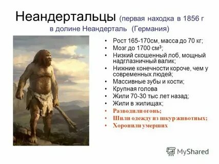 Древнейшие люди характеристика таблица