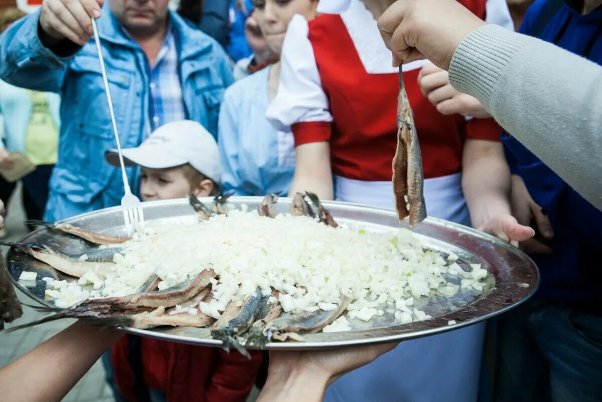 Селедка переславль. Фестиваль селедки в Переславле-Залесском. Фестиваль селёдки Царский посол в Переславле-Залесском. Царская селедка Переславль Залесский. Музей ряпушки Переславль Залесский.